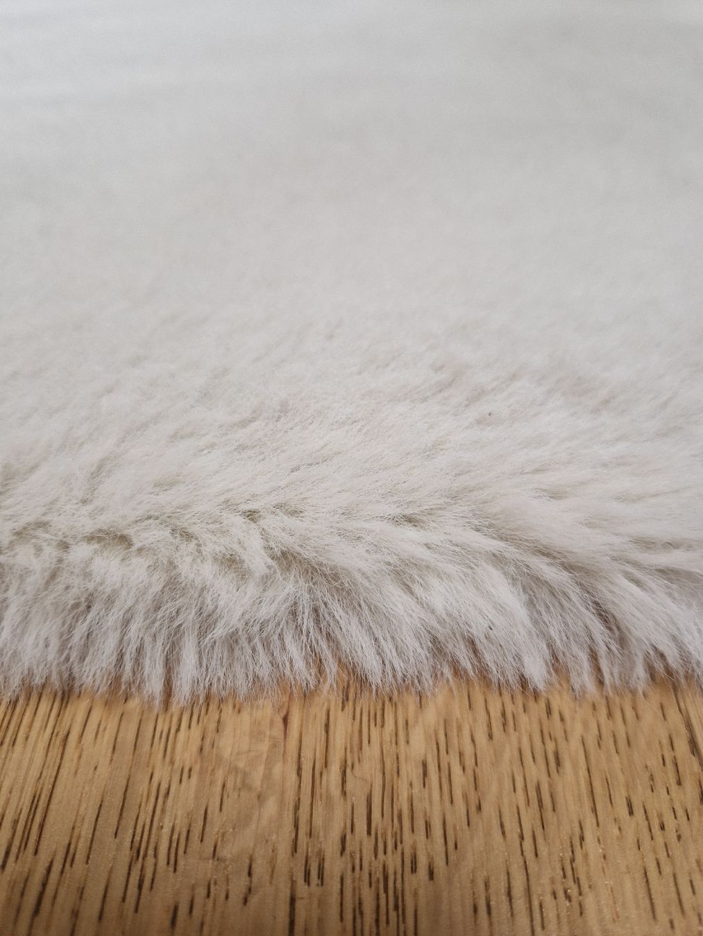 Teppiche: Teppich – Neu (gemäss Beschreibung) aus Zürich von zvr_8cw6 1