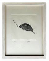 Pierre Desclouds (1950)  Sans titre, eau-forte, signée et nu
