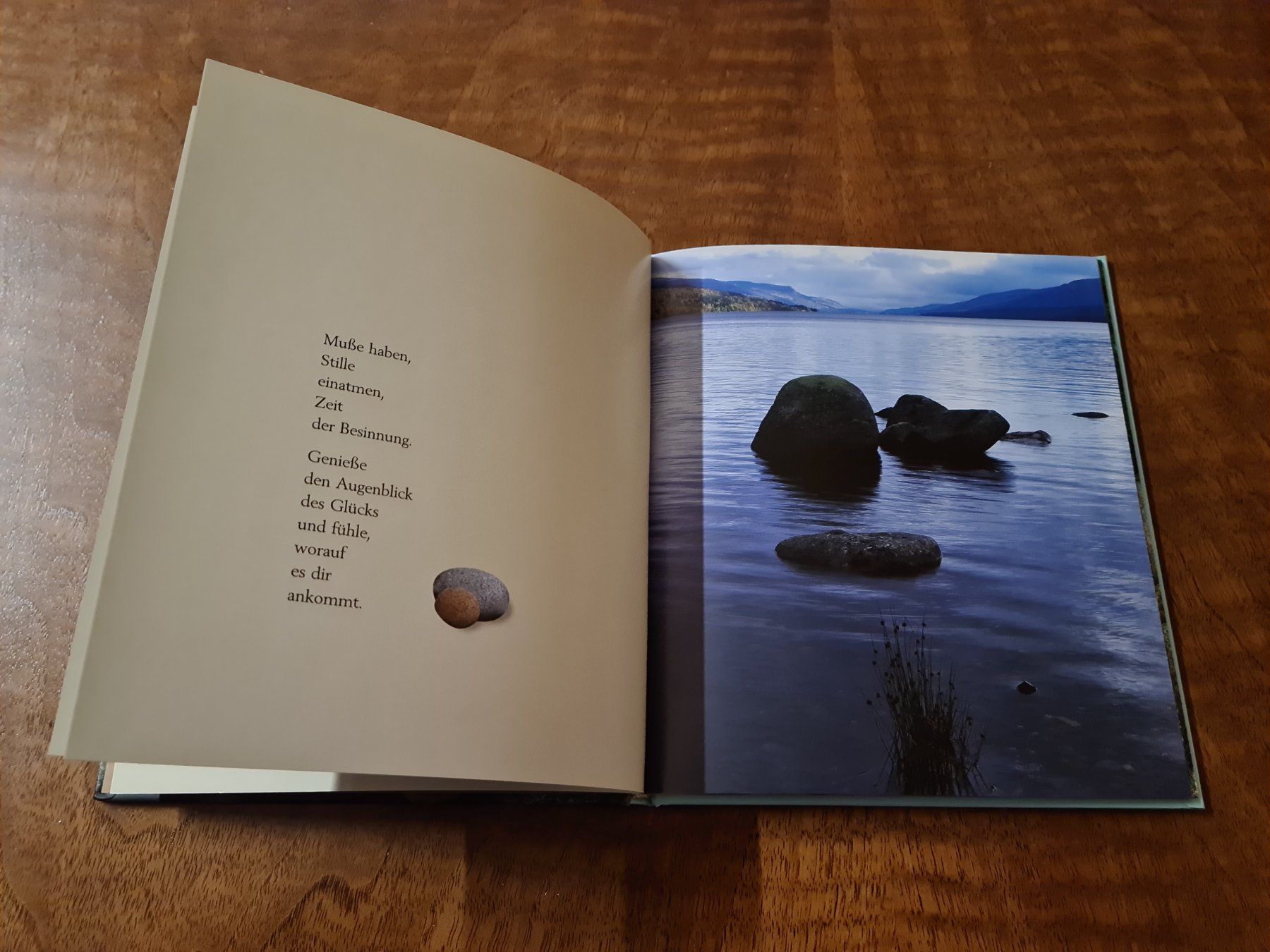 Libri: SPÜRE DIE KRAFT – Usato da Erstfeld venduto da Mario_boe0 3
