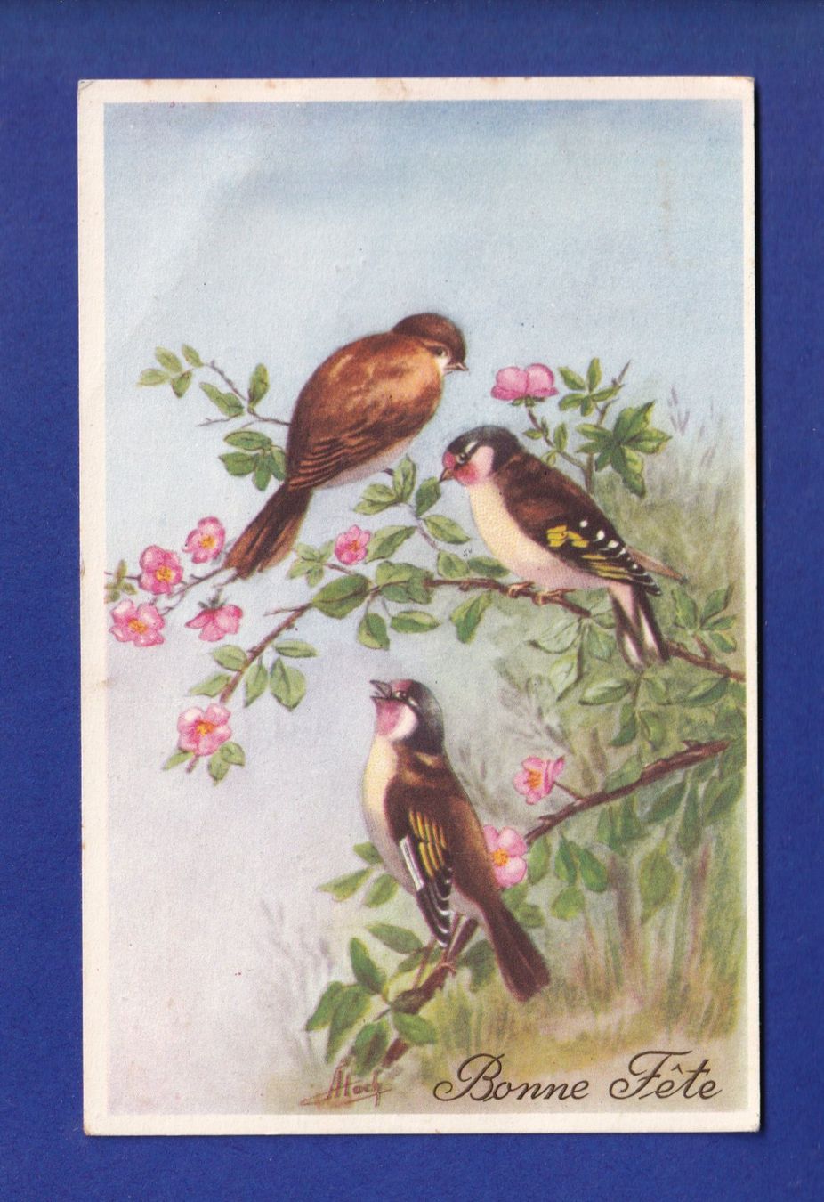 Cartoline postali: OISEAU // pli // – Usato da Pully venduto da nicecards-shop