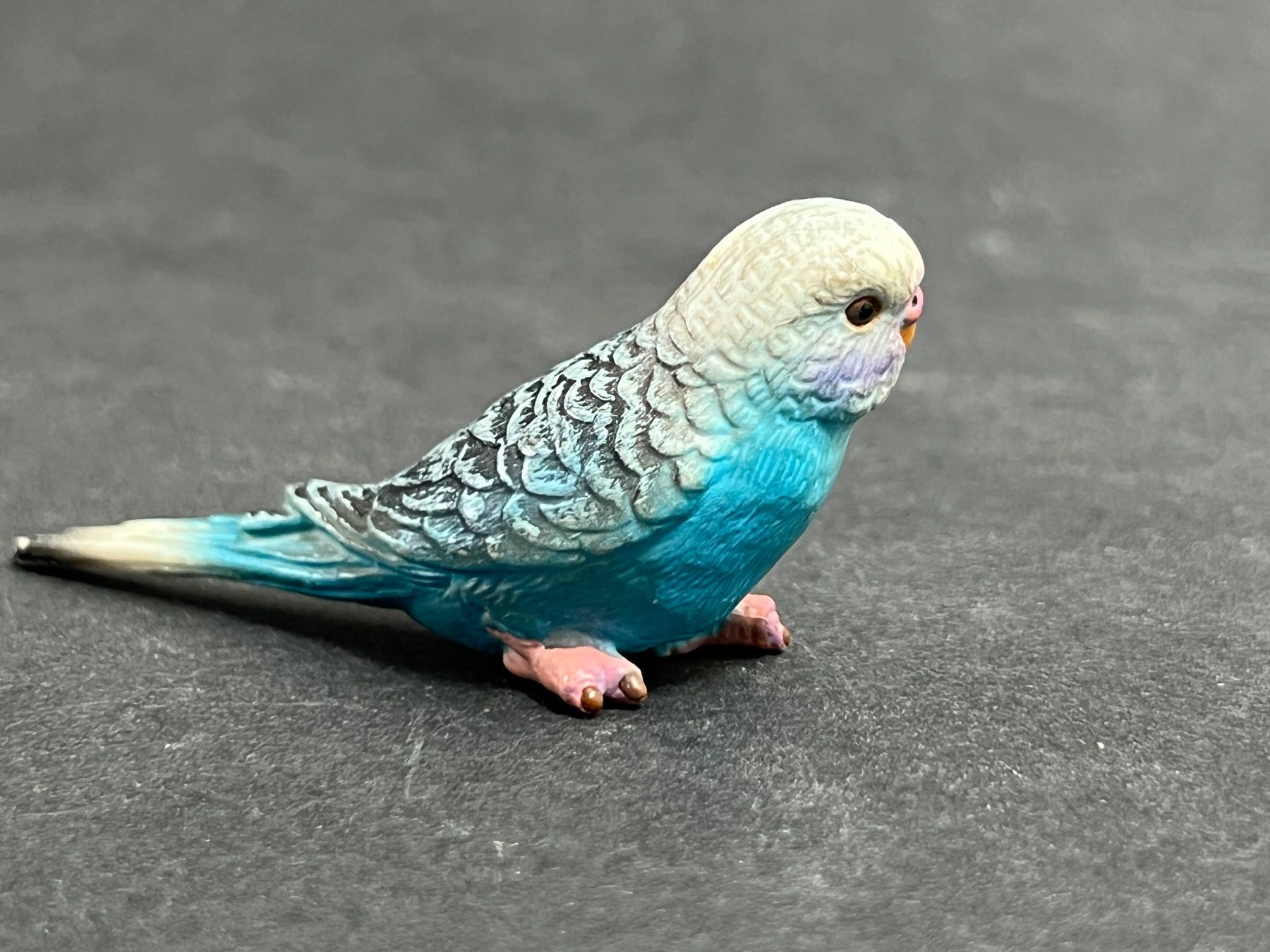 Schleich Statuette: Schleich Wellensittich blau Vogel – Usato da Ennetbaden venduto da mapa05 3