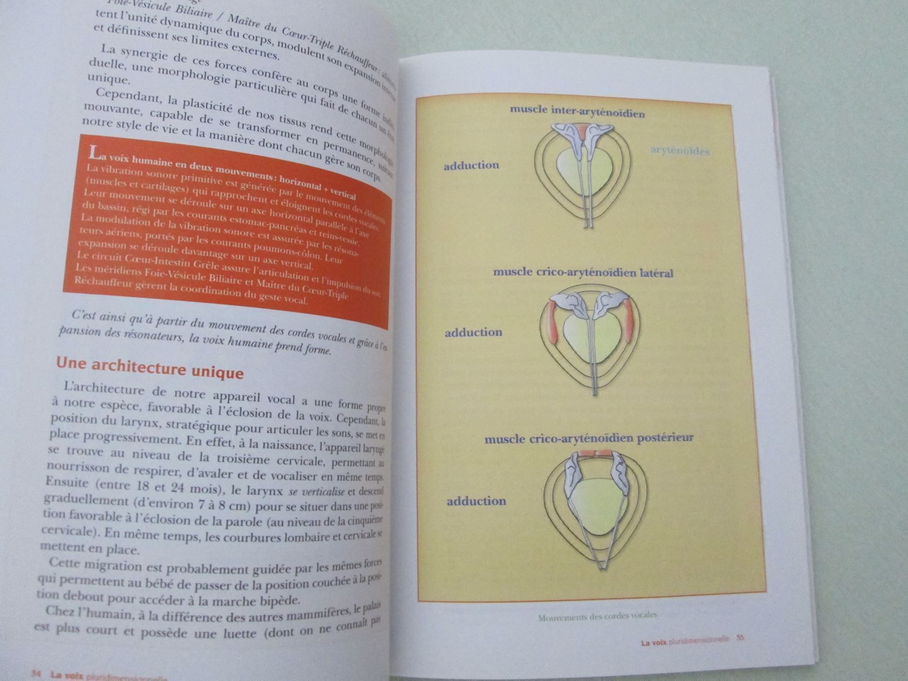 Libri: La voix pluridimensionnelle – Usato da Neuchâtel venduto da Dualseele 6
