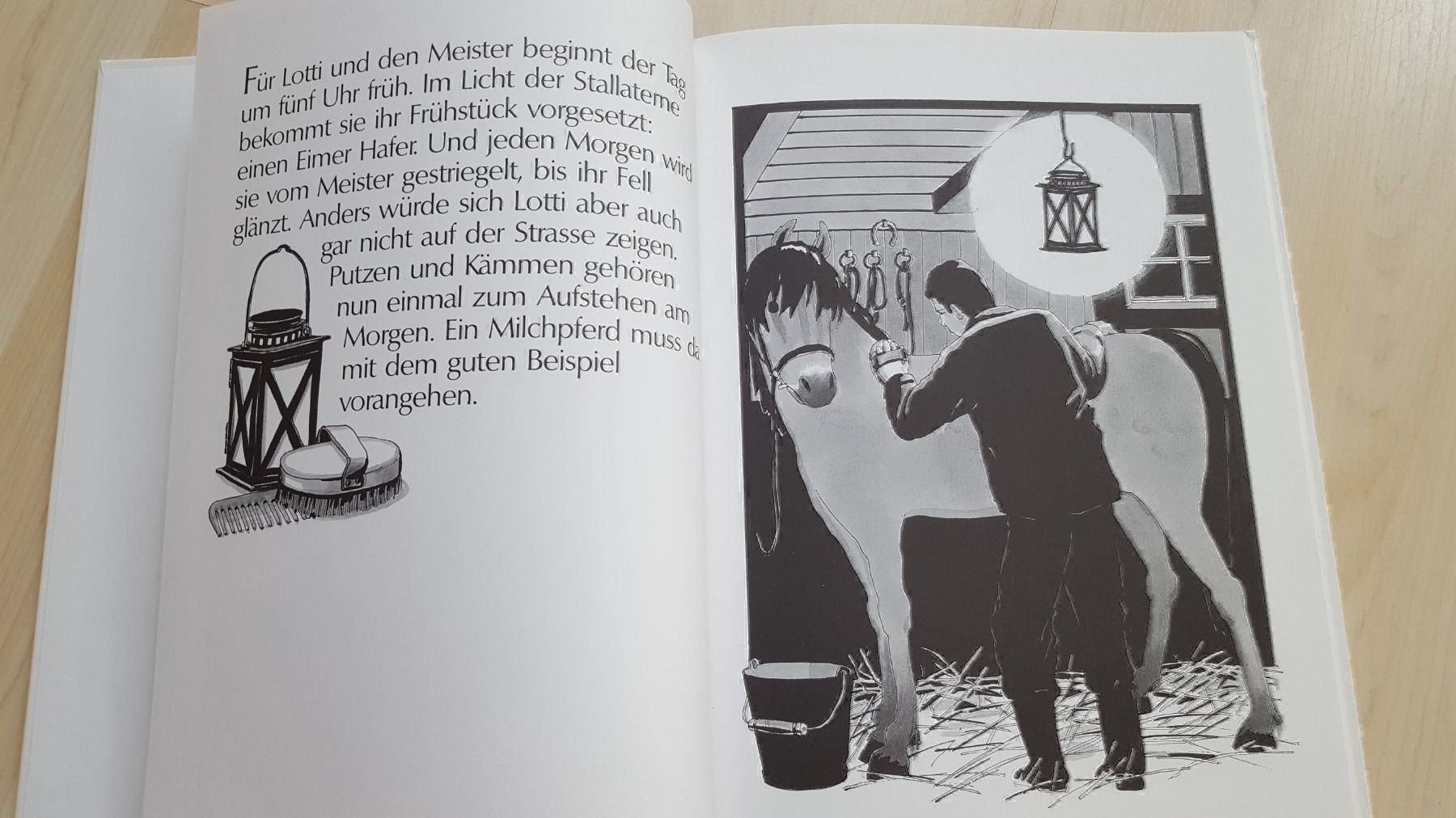 Libri: Vom Lotti und vom Milchmann – Nuovo (secondo la descrizione) da Schönengrund venduto da Liane63 2