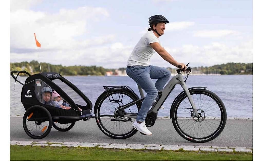 Rimorchi: hamax Voyageur - remorque à vélo – Usato da Chêne-Bougeries venduto da ric_d87p 3