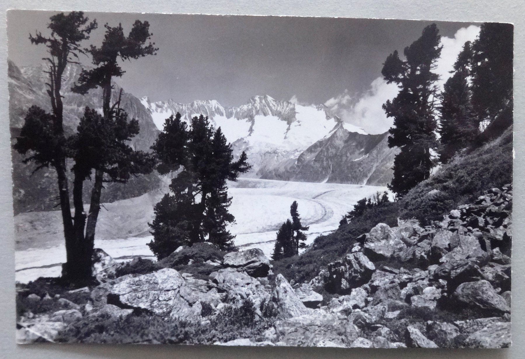 Cartoline postali: Aletschwald, am Gr. Aletschgletscher bei Riederalp – Usato da Fétigny venduto da Billy2miny