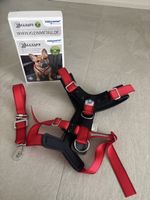 Allsafe comfort dog safety harness XL