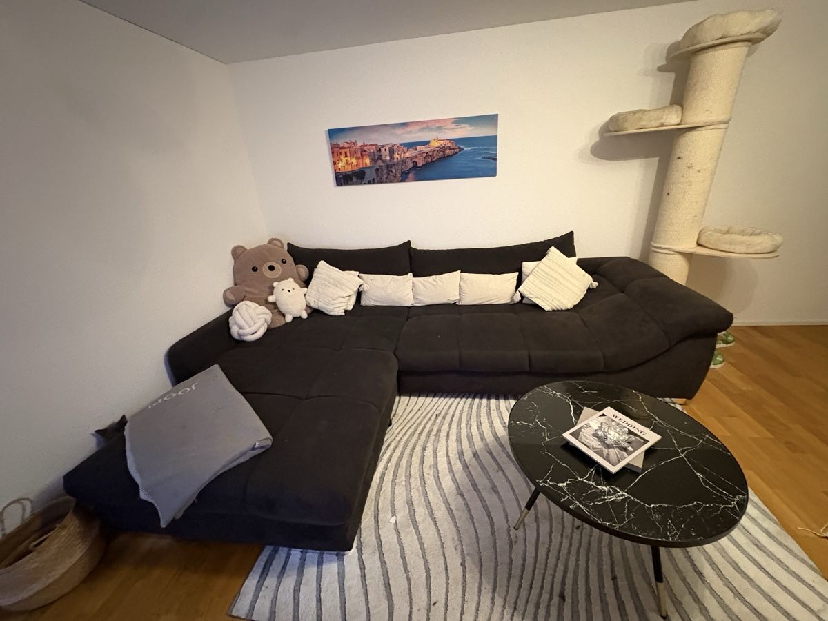 Divani: Ecksofa dunkelgrau Stoff – Usato da Wallisellen venduto da des_l5yc