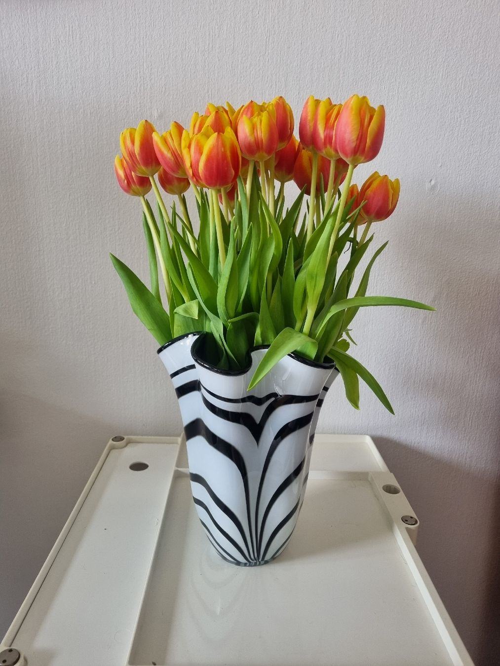 Vasi & Recipienti: Schwarz-weisse Fazzoletti Vase – Nuovo (secondo la descrizione) da Zürich venduto da cle_7zph