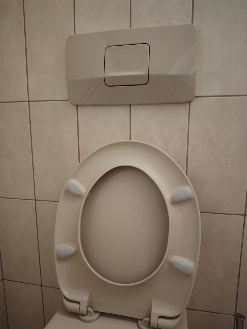 WC: Klo – Usato da Rorschacherberg venduto da Zwergli4 2