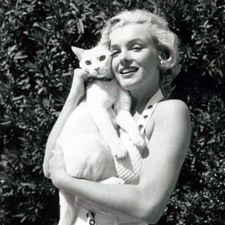 Profile image of ShaTue
