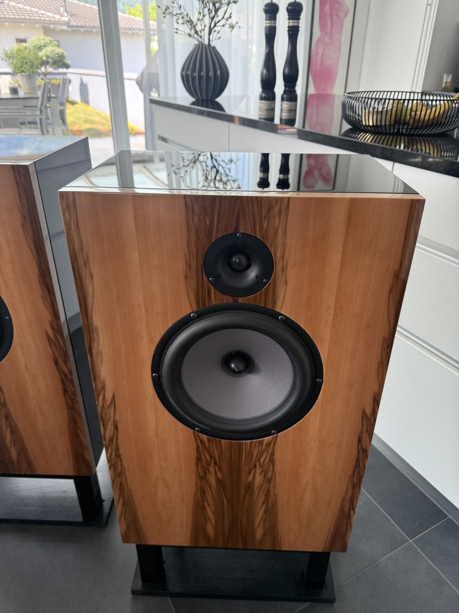 Casse acustiche: Devore 96 Orangutan wie neu Kult Speaker – Usato da dietlikon venduto da avspalinger 3