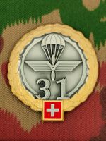 Béretemblem Fliegerbrigade 31 Goldkranz