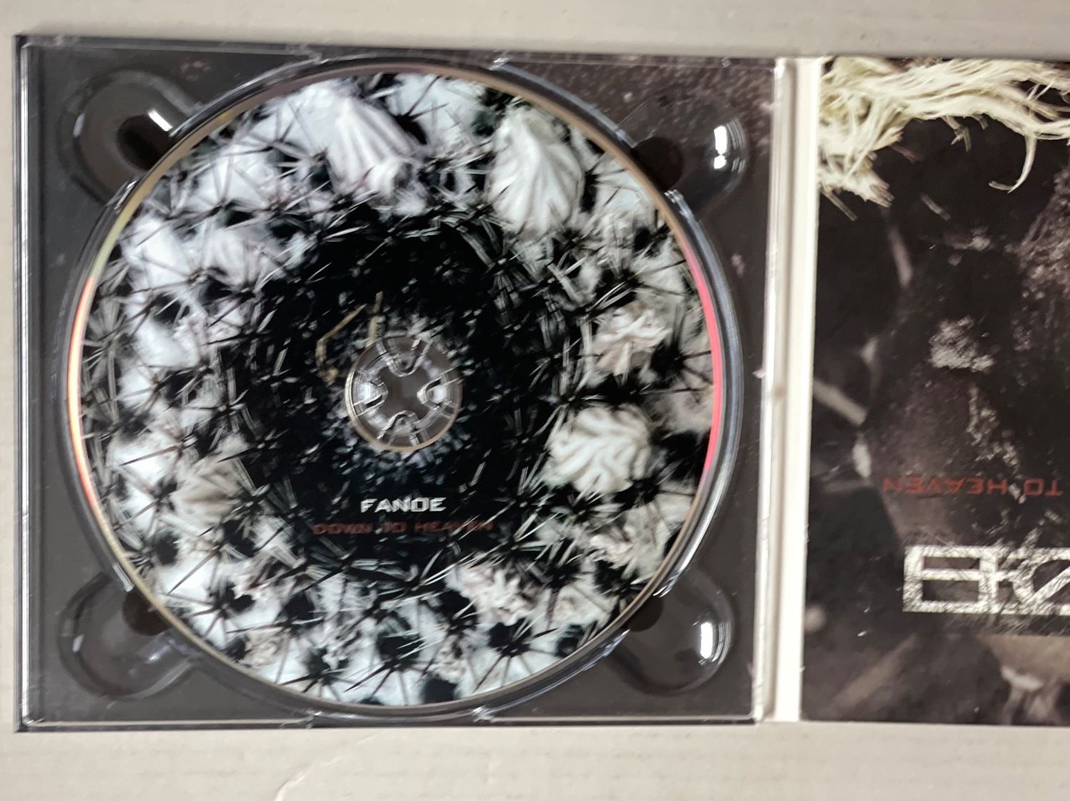 CDs: Fanoe-Down To Heaven – D'occasion à Muri b. Bern par AdidasCollector 1