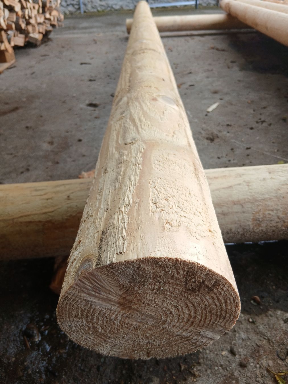 Articoli in legno: Holz Palisade – Nuovo (secondo la descrizione) da Brenzikofen venduto da Nramseier 1