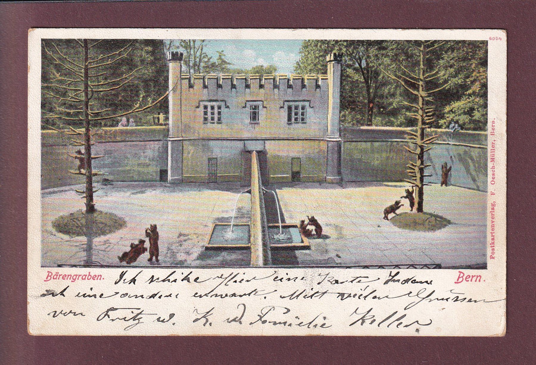 Cartoline postali: BERN - Bärengraben - 1903 – Usato da Pully venduto da nicecards