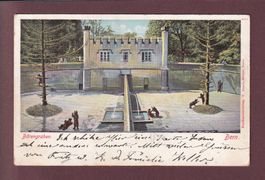 BERN - Bärengraben - 1903