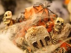 Piante e fiori finti: Halloween Spinnennetz weiß 50g – Nuovo e nell'imballaggio originale da Däniken SO venduto da Profog1 6