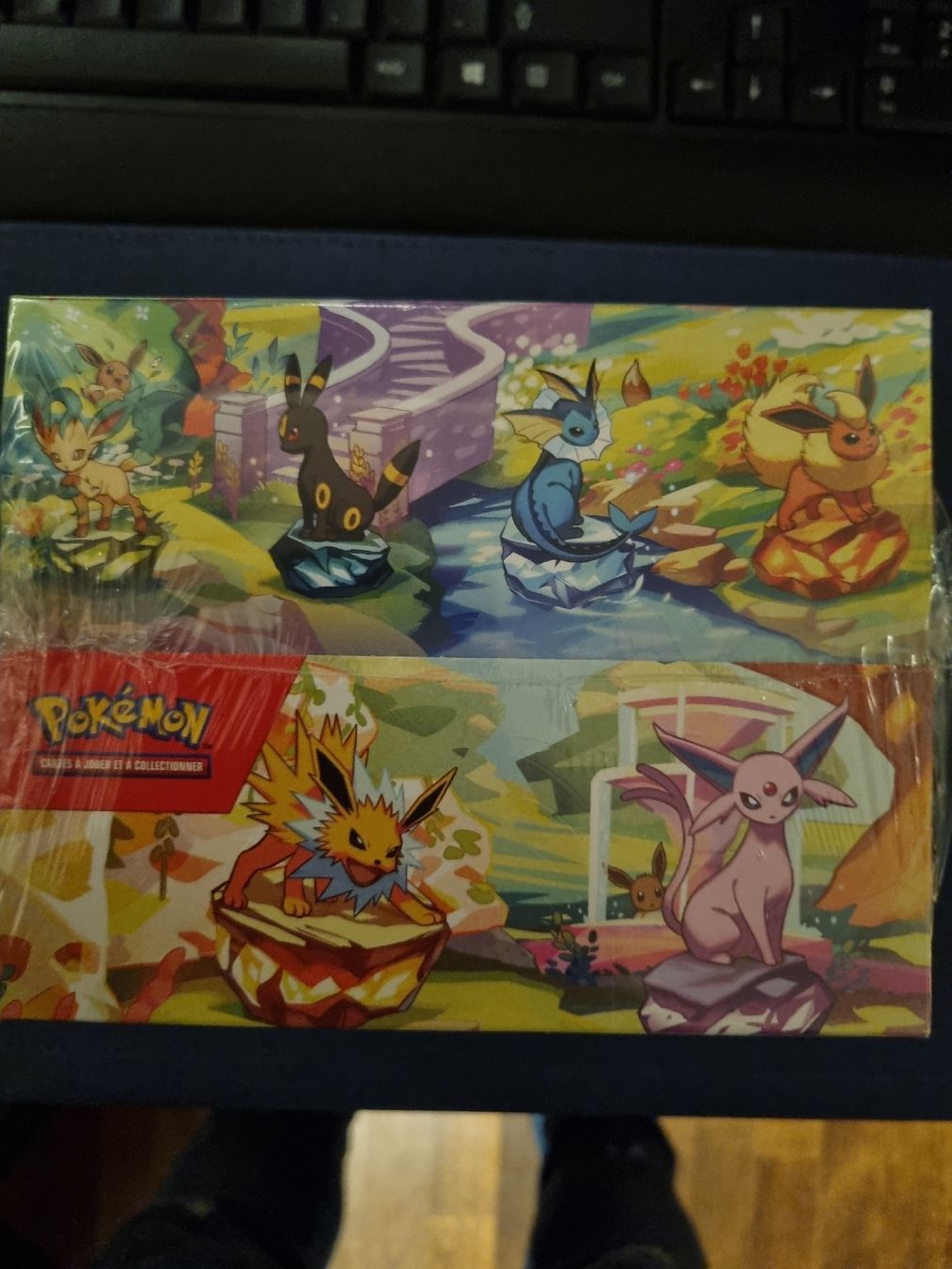 Pokémon Sammelbilder & Trading cards: Evolutions Prismatique Minitin Display  FR Pokemon TCG – Neu und originalverpackt aus Goldau von seimen32 1
