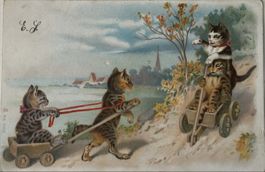 Katzen, Leiterwagen, Horgen 1.1.1900 Neujahr