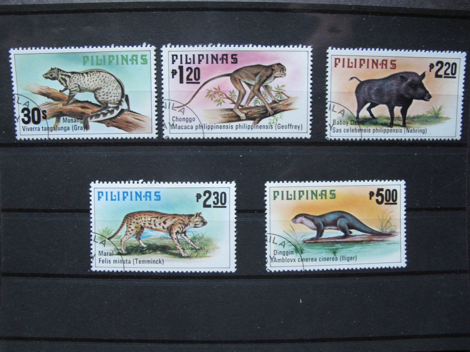 Alle Briefmarken: PH 1979 Säugetiere – Gebraucht aus Wil SG von fva01
