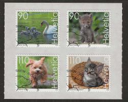 M1944 - Animaux mignons 1er jour
