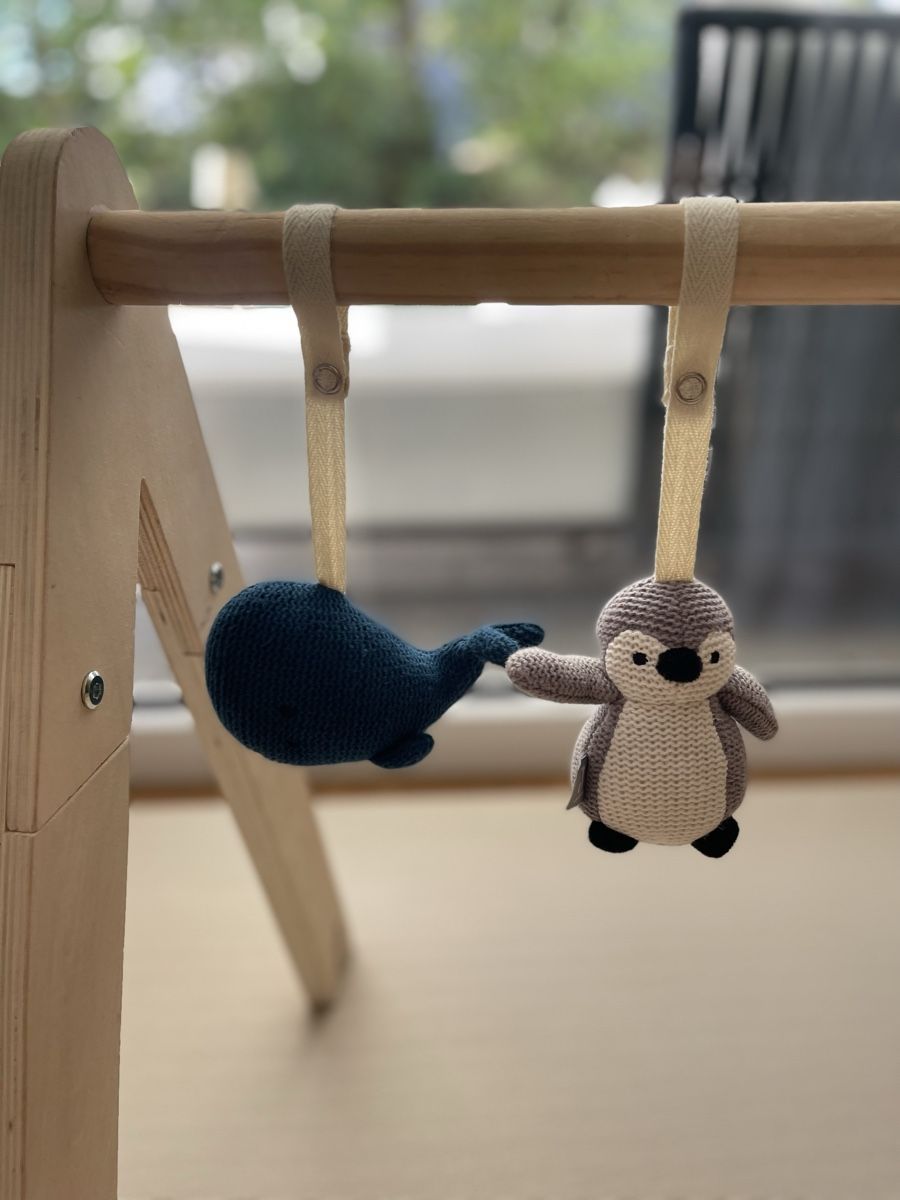 Tiro con l'arco: Jollein Spielbogen aus Holz – Usato da Niederhasli venduto da monavana7 1
