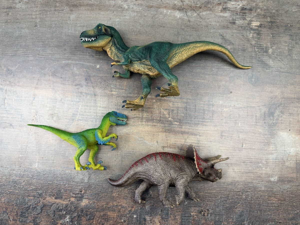 Schleich Jouets: Schleich Dinosaurier Figuren Set 3 Stk  – D'occasion à Hallau par R.R.91 2