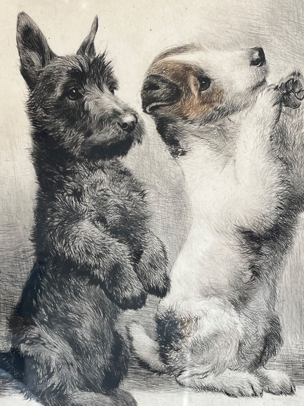 Dipinti: Kurt Meyer-Eberhardt Signierte Radieren – Usato da Basel venduto da PAUL_ART