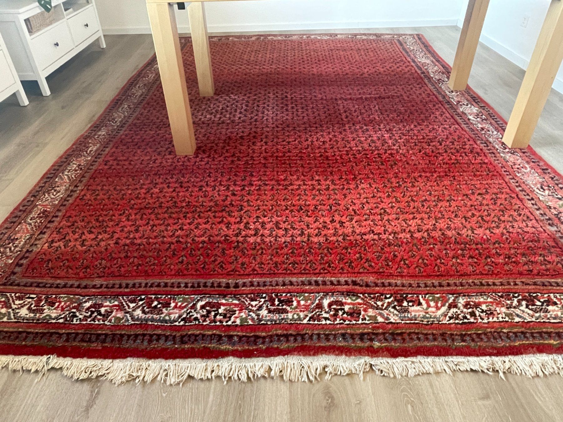 Tappeti: Teppich 246 x 355cm – Usato da Schmerikon venduto da die_8b8m 2