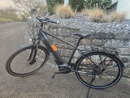 E-Trekkingbike Viper Wave PT500