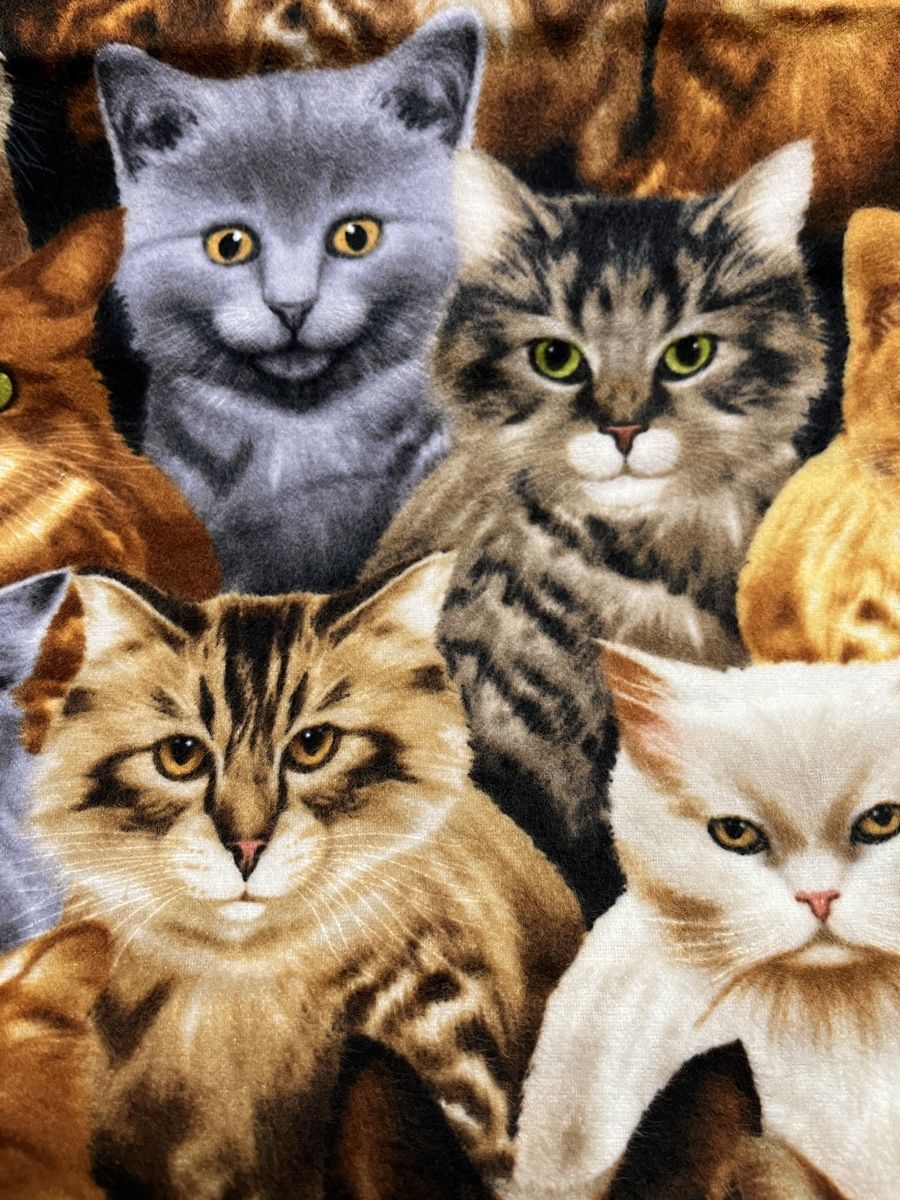 Stoffe: Patchworkstoff Flannel Katzen – Neu (gemäss Beschreibung) aus Seuzach von KreativmitStoff 5