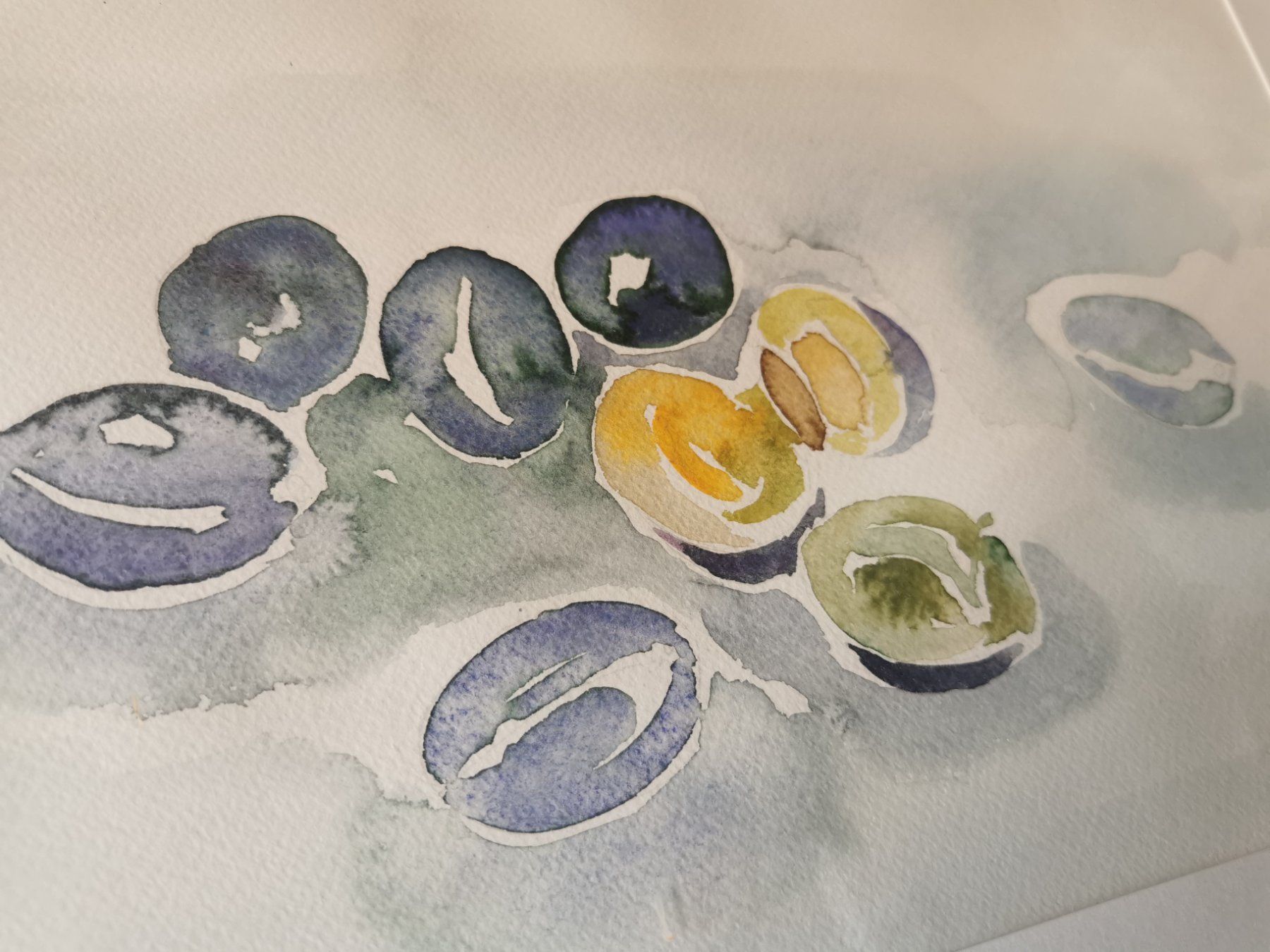 Gemälde: Aquarell Zwetschgen Pflaumen Original – Gebraucht aus Berneck von Hansi_Muenz 1