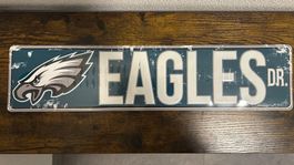 🏈 NFL Philadelphia Eagles Dr. Schild (60x14cm) (Lizenziert)
