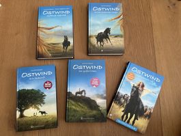 Ostwind Bücher 5er Set guter Zustand