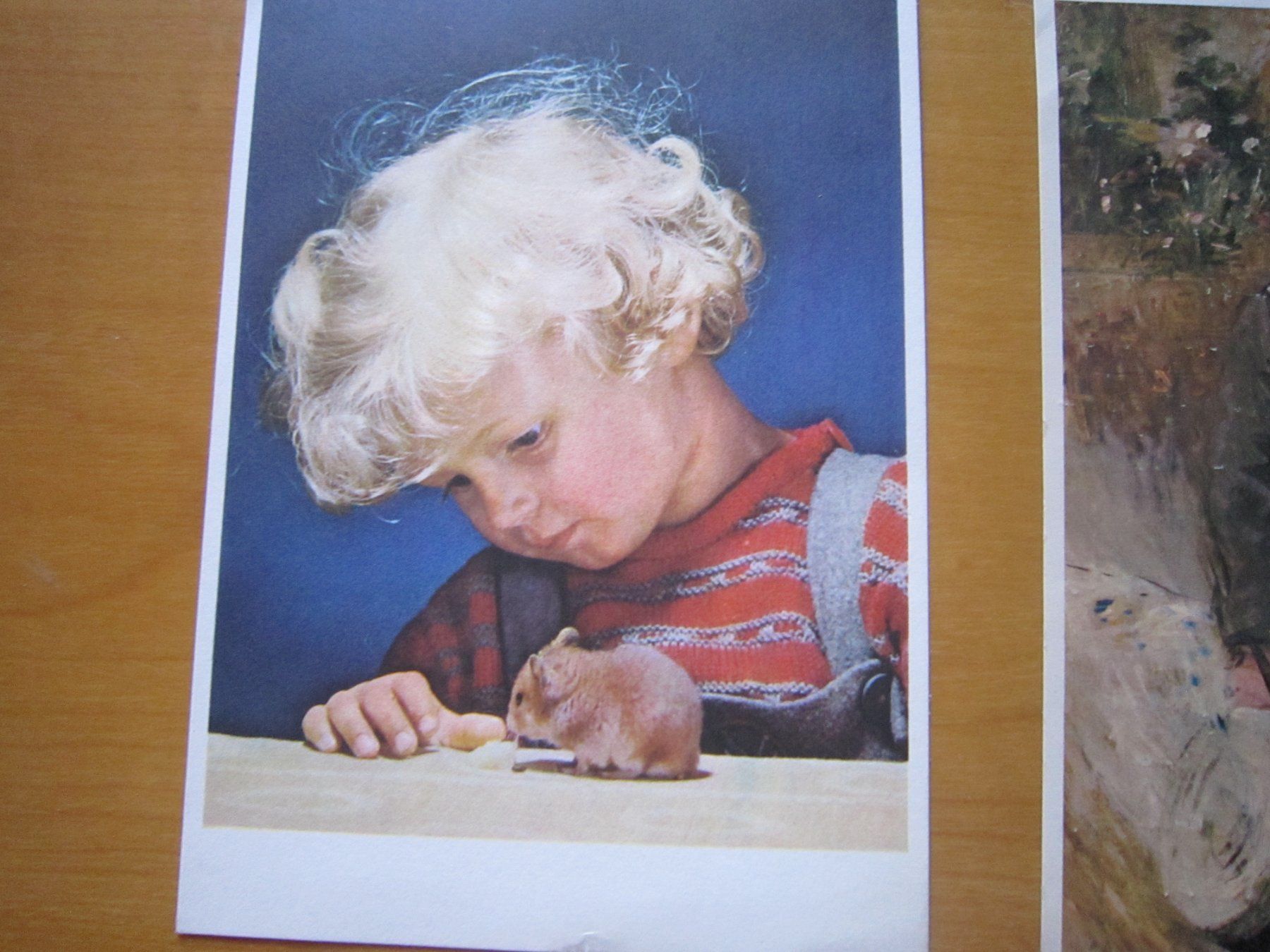 Cartoline postali: No 9 Postkarten KINDER – Usato da Gordola venduto da Polentaefung 1