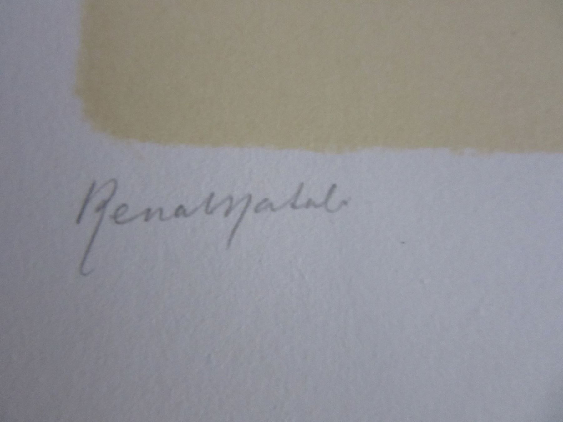 Grafiken & Lithographien: Renato Natali  1883 - 1979 LITHOGRAPHIE – Gebraucht aus Gersau von grafik-kunst 3
