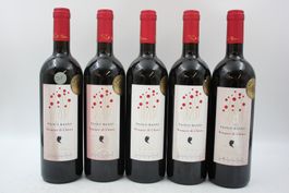 5x PAOLO BASSO Ticino Merlot Rotwein (26071260Z)