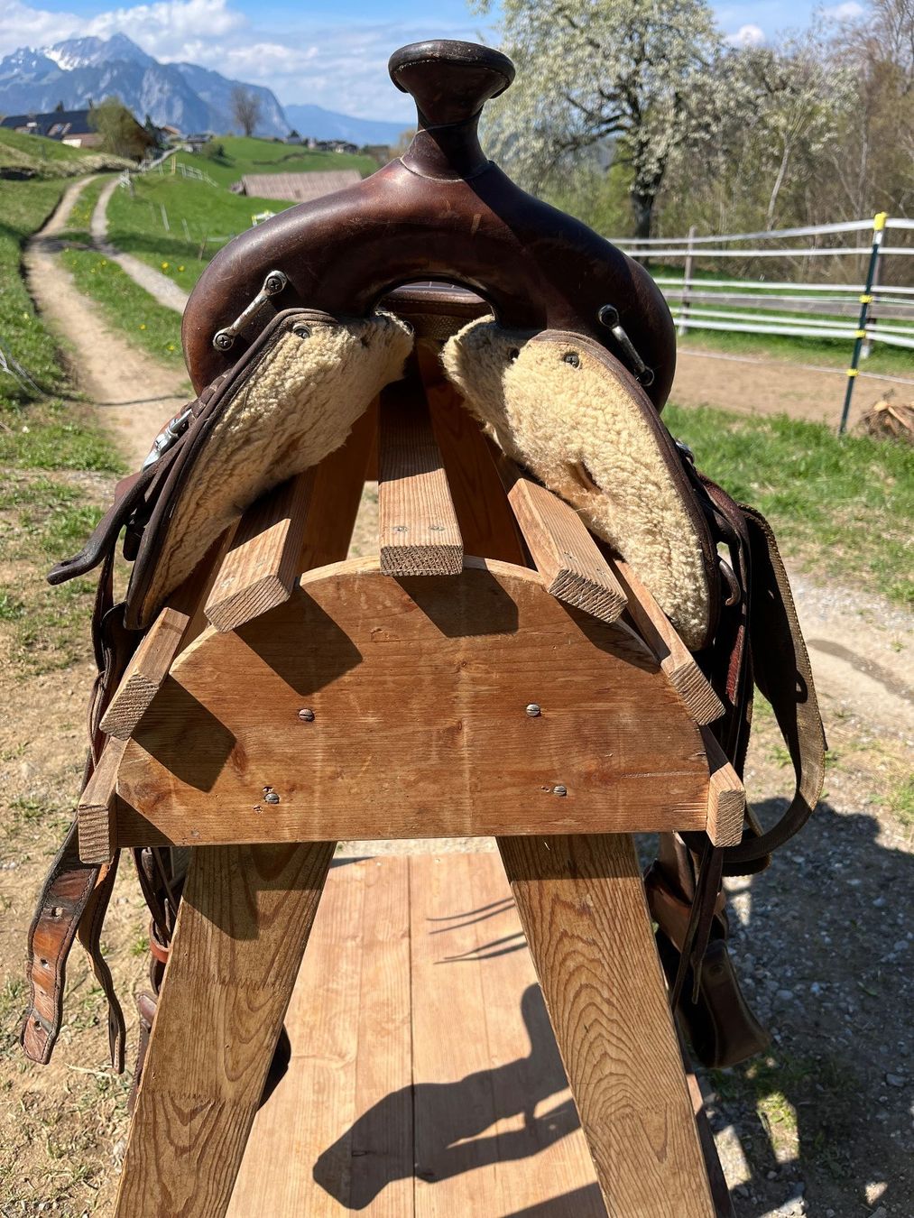 Selle & Accessori: Westernsattel Sharon Saare – Usato da Spiez venduto da Hekjiani 1