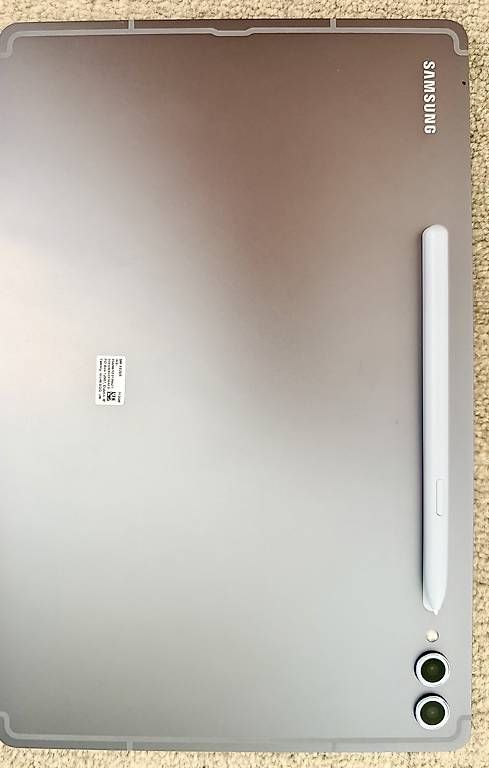 Tablet PC: Tablet Samsung Galaxy S10+ 512MB – Usato da Pregassona venduto da and_g7hk 3
