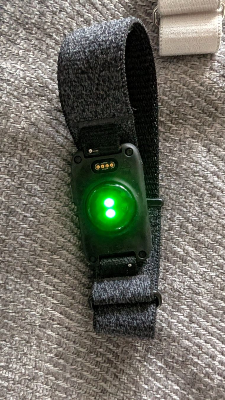 Garmin Smartwatch: Garmin Cirqa Smartband – Neuf (Voir description) à Tobel par Snicket 2