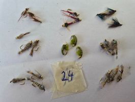 24  Verschiedene Nymphen