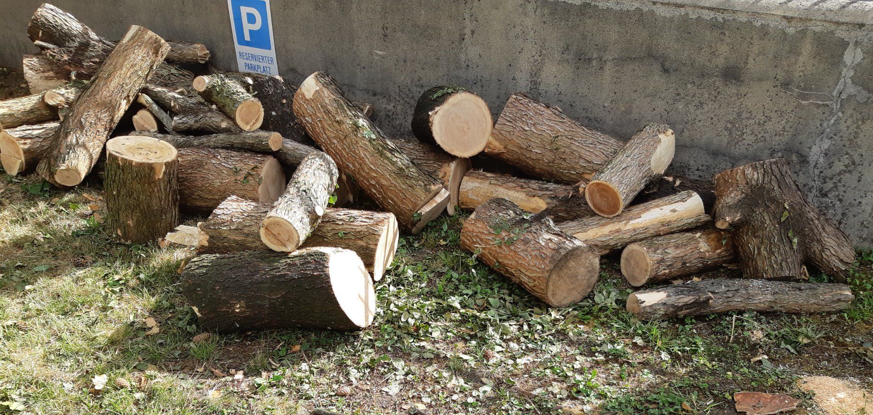Holzartikel: Brennholz aus Geweihbaum – Neu (gemäss Beschreibung) aus Biel/Bienne von Panache1 1