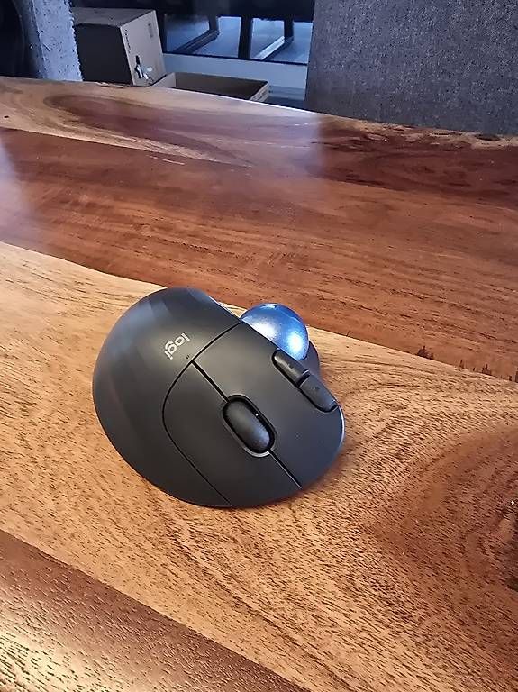 Mouse: Logitech ERGO M575 – Usato da Buchs LU venduto da san_df8f 3
