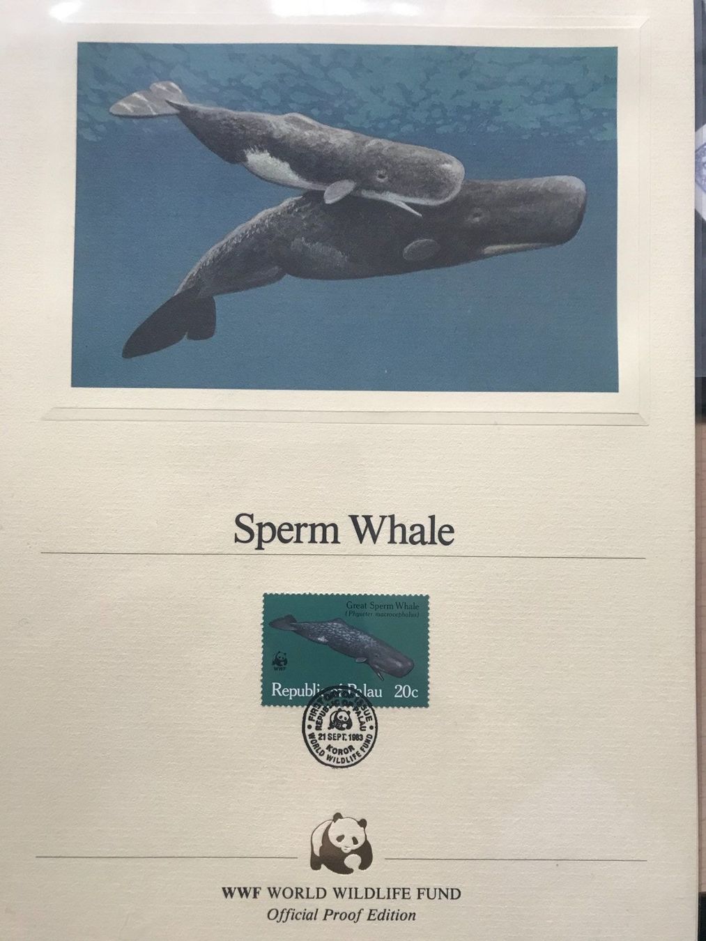 Tutti i francobolli: WWF 1983  Palau Pottwal Sonderblatt – Nuovo (secondo la descrizione) da Liestal venduto da schnueps