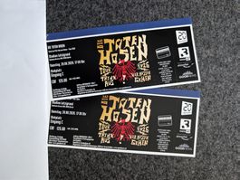 2x DIE TOTEN HOSEN Tickets Zürich 20.06.2026 Stehplatz