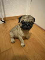 Mops Kässeli