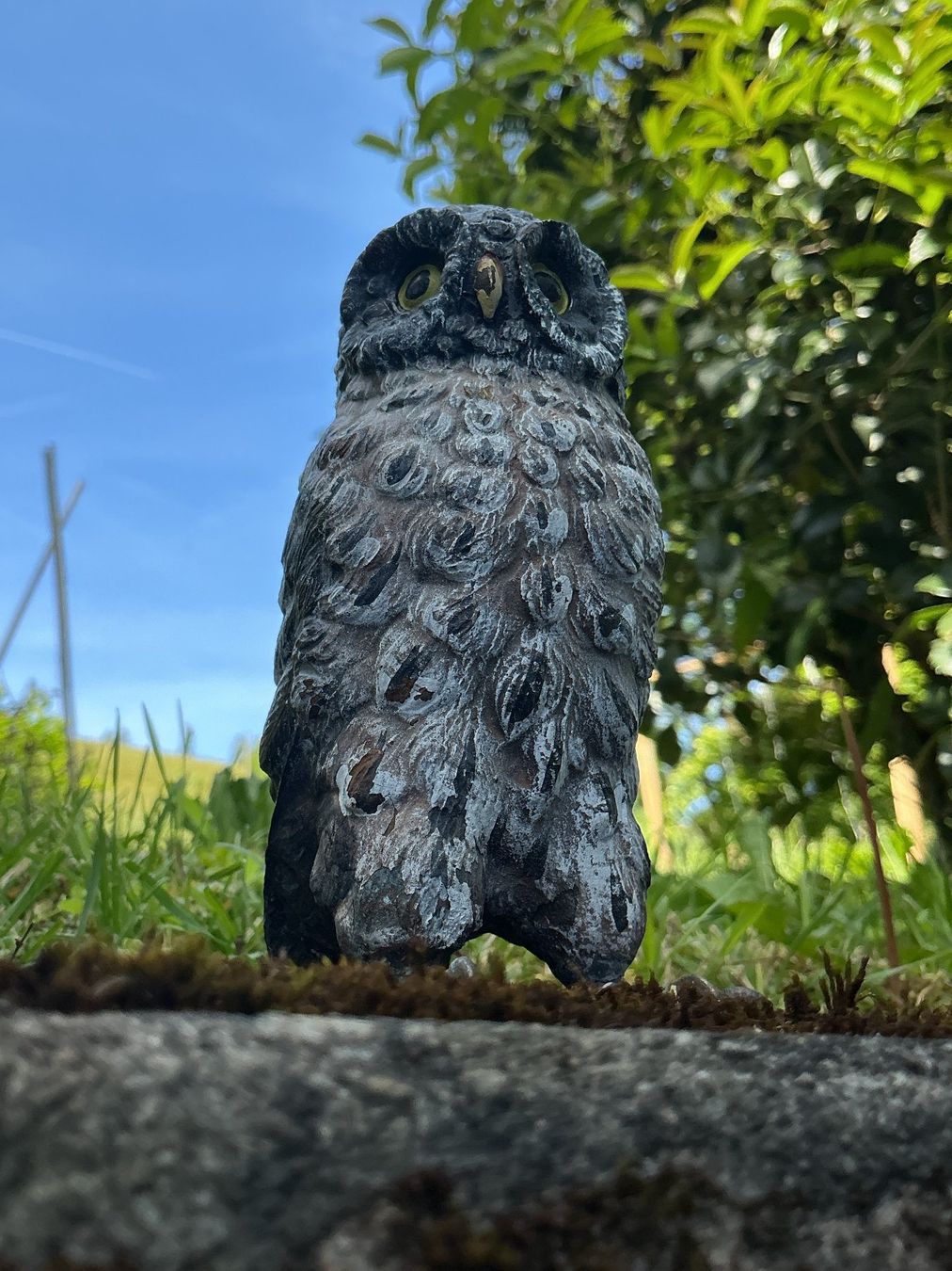 Sculture & Statue: SKULPTUR kleine Eule für den Garten – Usato da Richterswil venduto da Restwert_Richterswil 6