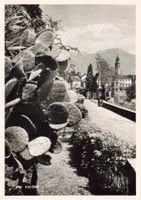 Ascona G