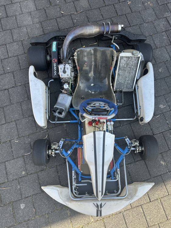 Kart 125ccm Fernando Alonso 3
