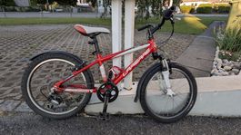 Kinder Velo 